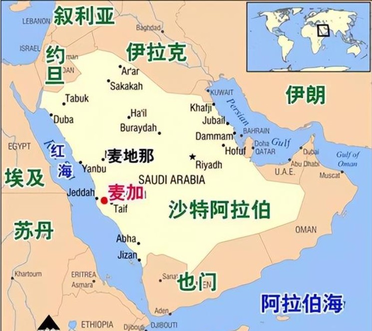 沙特專線 沙特海運船期查詢 沙特空運貨物追蹤 沙特?？章?lián)運雙清包稅門到門