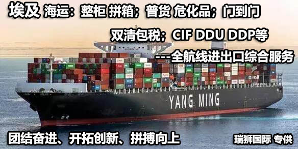 埃及物流貨運專線 埃及空運 埃及海運 埃及?？贞懚嗍铰撨\
