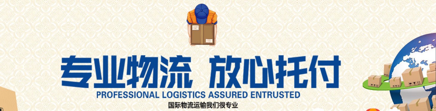 瑞獅國際是國際貨運代理公司、國際物流，跨境進出口電子商務有限公司公司等商務部批準的綜合性進出口服務商之一。貨運代理分為：國際貨運代理公司 國內貨運代理公司或者航空貨運代理、國內貨運和國際物流等。物流分為國內物流和國際物流，瑞獅國際主打國際物流，但憑借優秀的自有公司和代理網絡，在國內物流或者國內貨運方面，也有涉及，國為國內外進出口企事業單位提供完整綜合的優秀服務。 
